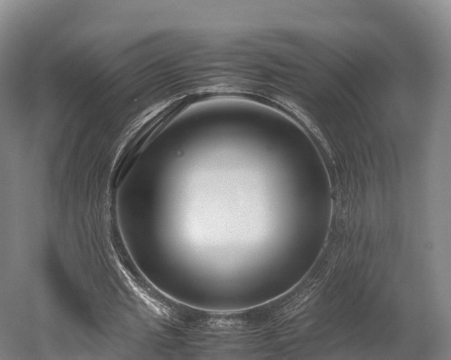 X0000052950437200507151713