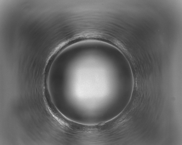 X0000052950438200507151713