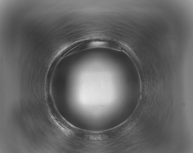 X0000052950439200507151713