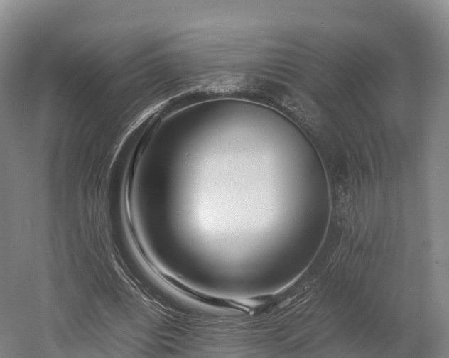 X0000052950440200507151713