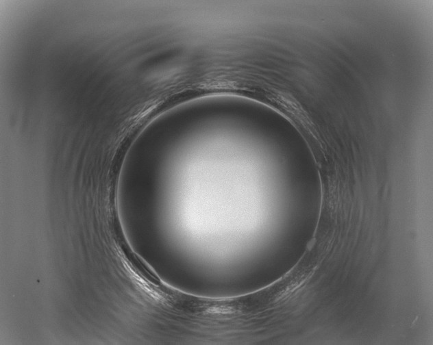 X0000052950441200507151713