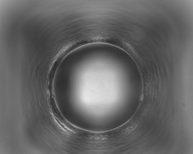 X0000052950443200507151713