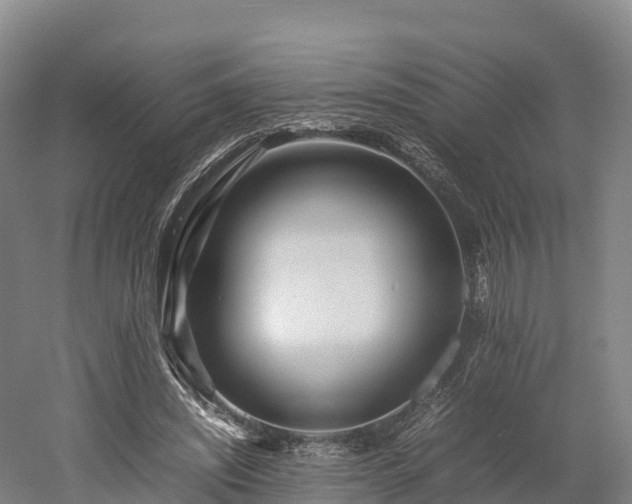 X0000052950444200507151713
