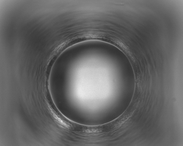 X0000052950445200507151713