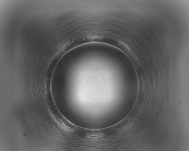 X0000052950447200507151713