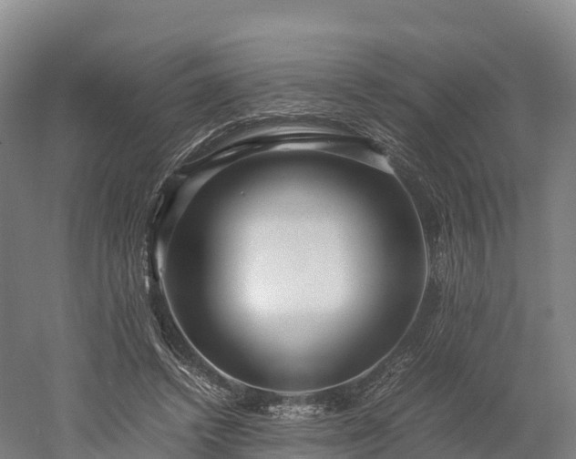 X0000052950448200507151713