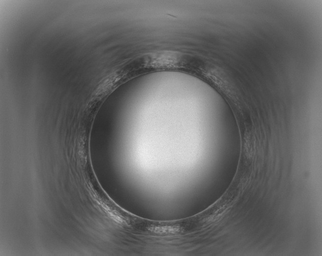 X0000052950449200507151713