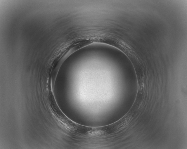 X0000052950452200507151714