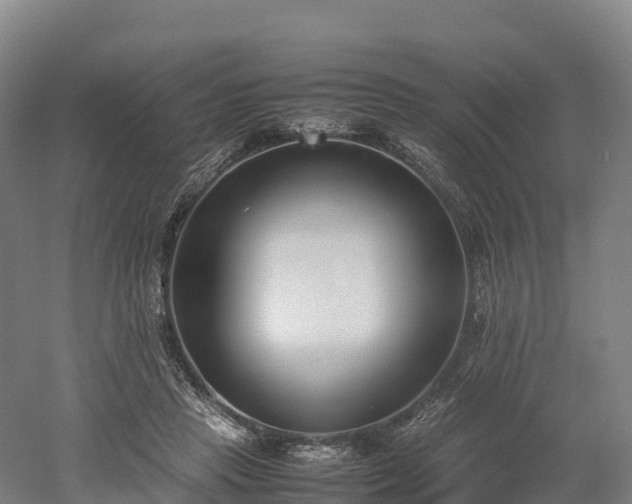 X0000052950453200507151714