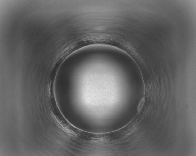 X0000052950454200507151714