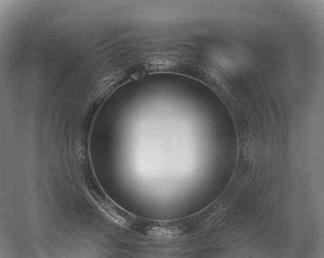 X0000052950455200507151714