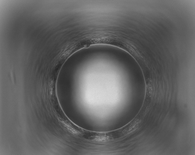 X0000052950458200507151714