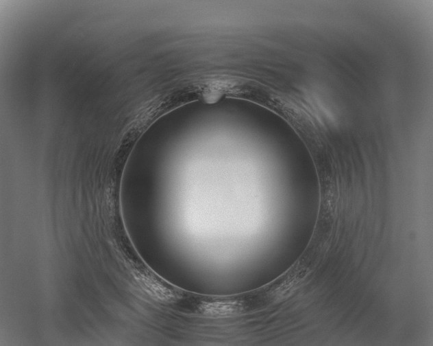 X0000052950461200507151714