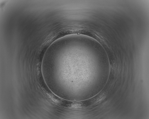 X0000052950462200507151714