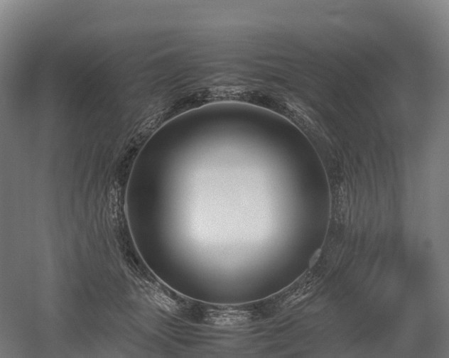X0000052950463200507151714