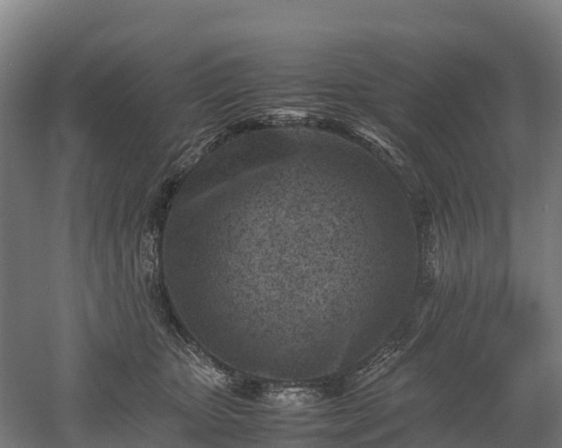 X0000052950467200507151714