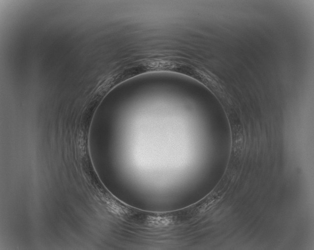X0000052950469200507151714