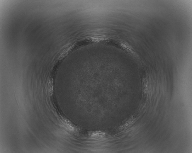 X0000052950471200507151714