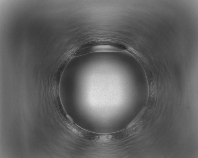X0000052950474200507151714
