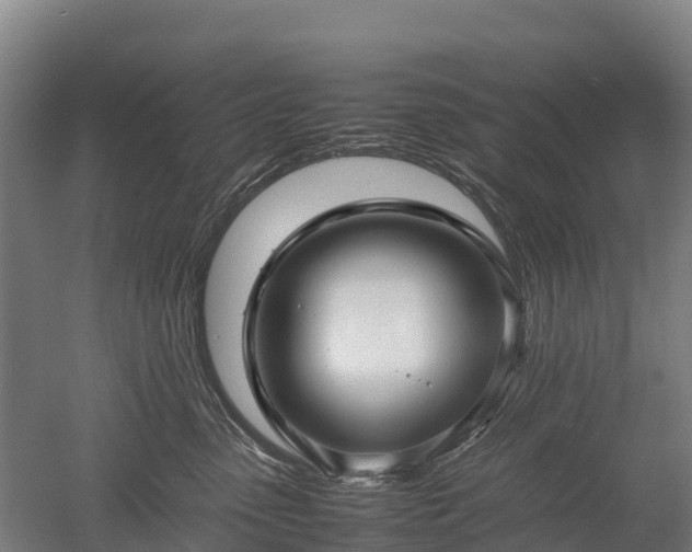 X0000052950475200507151714