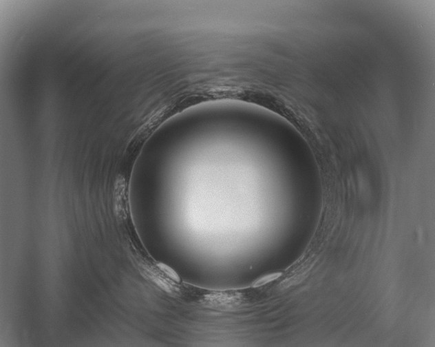 X0000052950480200507151714
