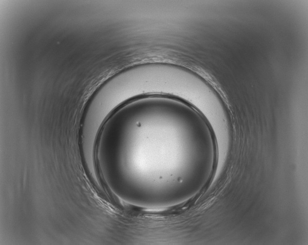 X0000052950481200507151713