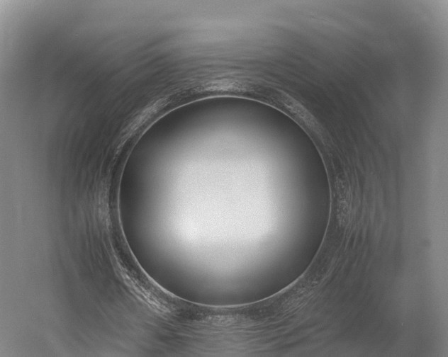 X0000052950482200507151713