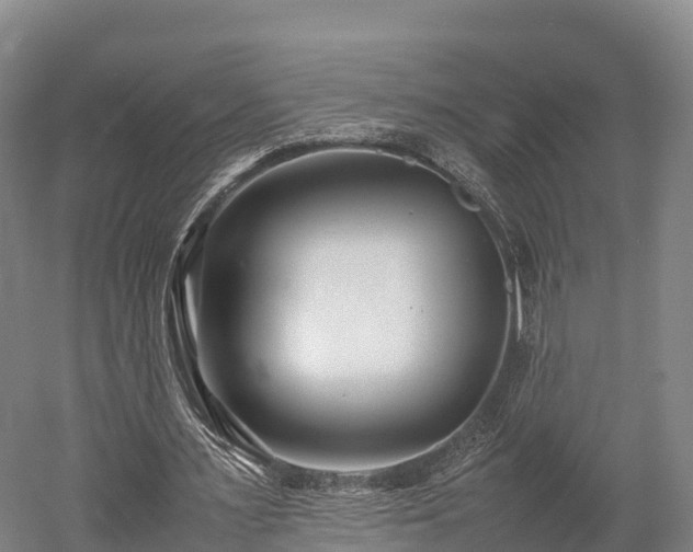 X0000052950483200507151713