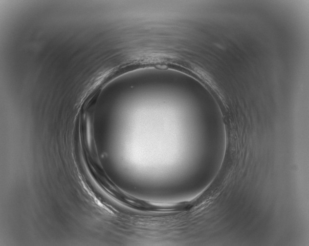 X0000052950485200507151713