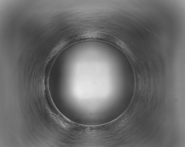 X0000052950486200507151713