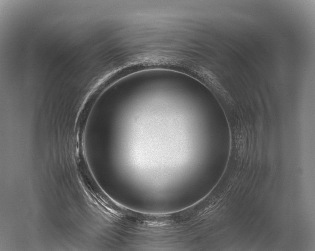 X0000052950488200507151713