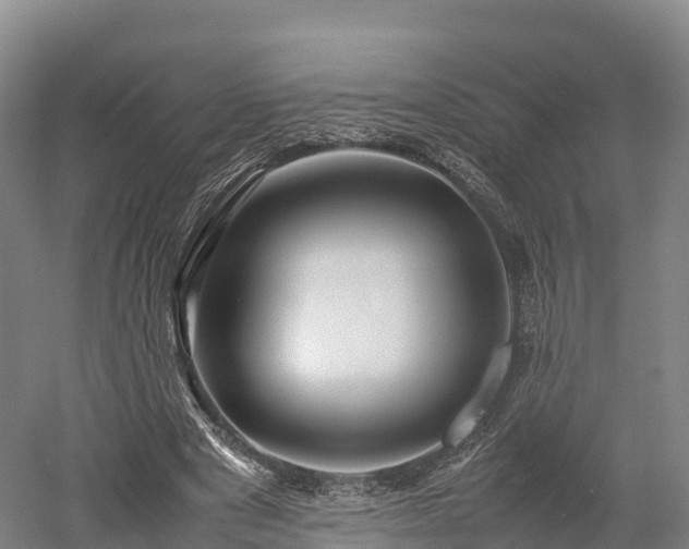 X0000052950489200507151713