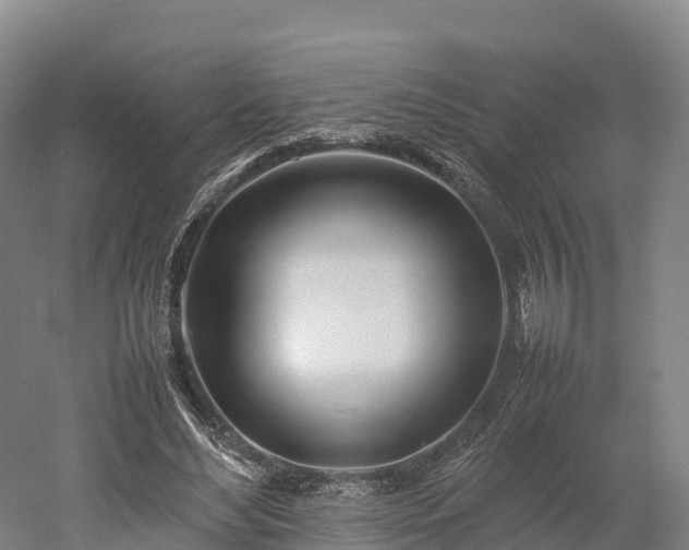 X0000052950492200507151713