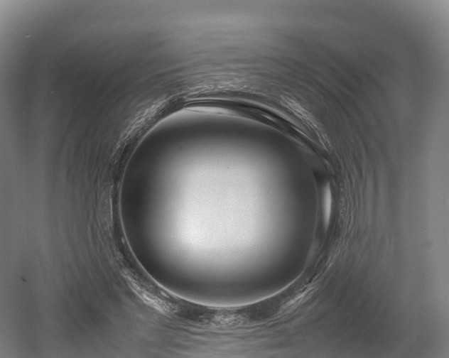 X0000052950493200507151713