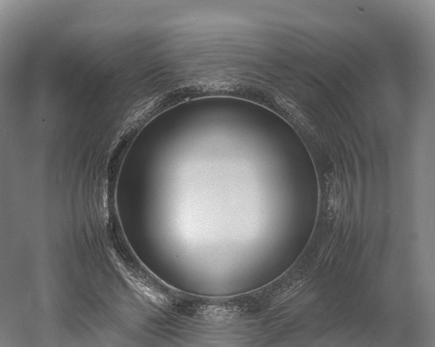 X0000052950494200507151713