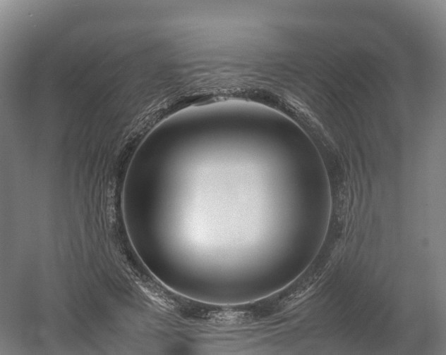 X0000052950497200507151713