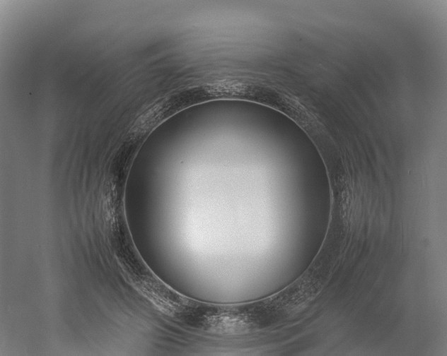 X0000052950498200507151713