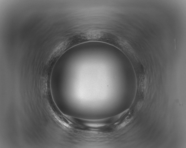 X0000052950501200507151713