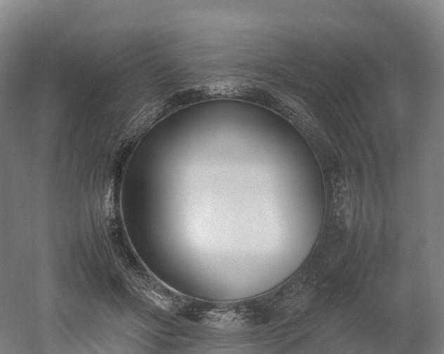 X0000052950502200507151713