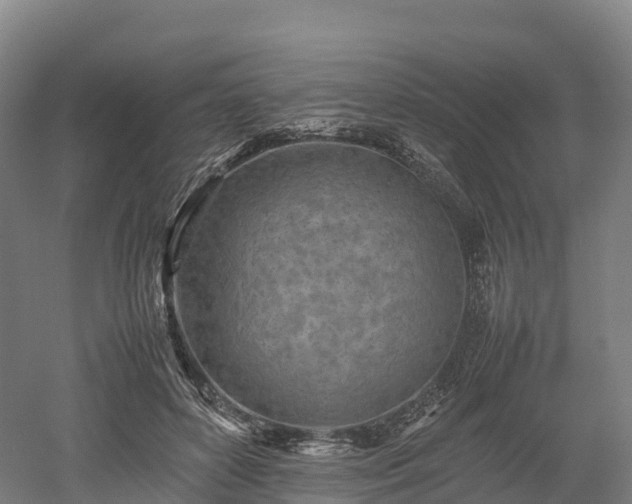 X0000052950504200507151713