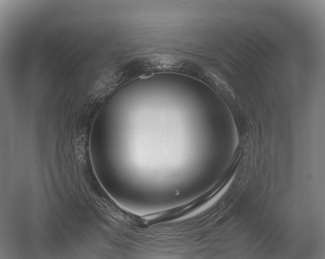 X0000052950509200507151713