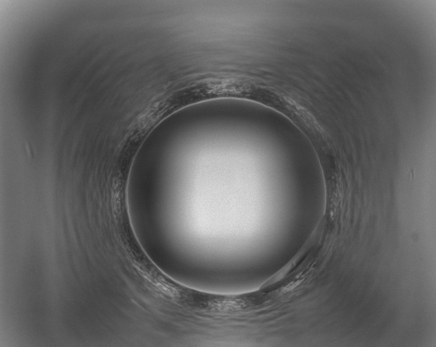 X0000052950513200507151713