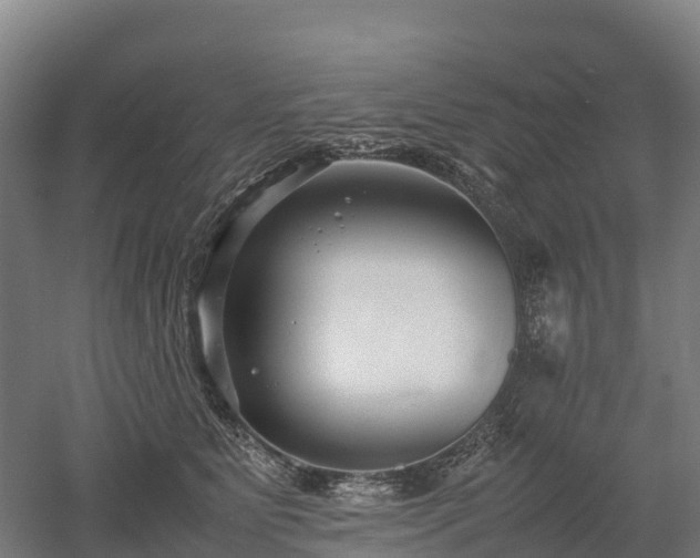 X0000052950515200507151713