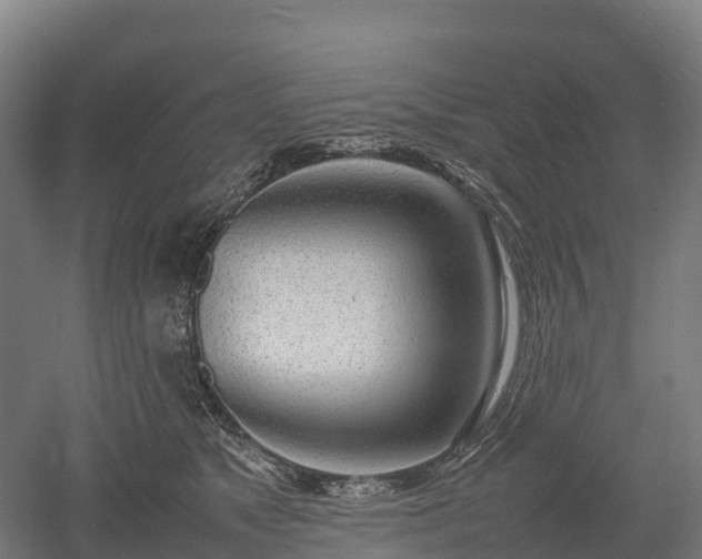 X0000052950517200507151713