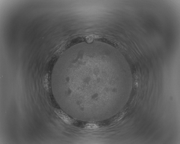 X0000052950519200507151713