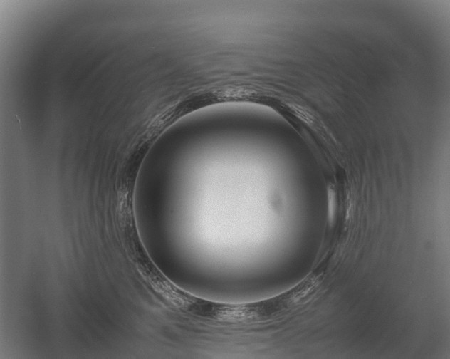 X0000052950521200507151712