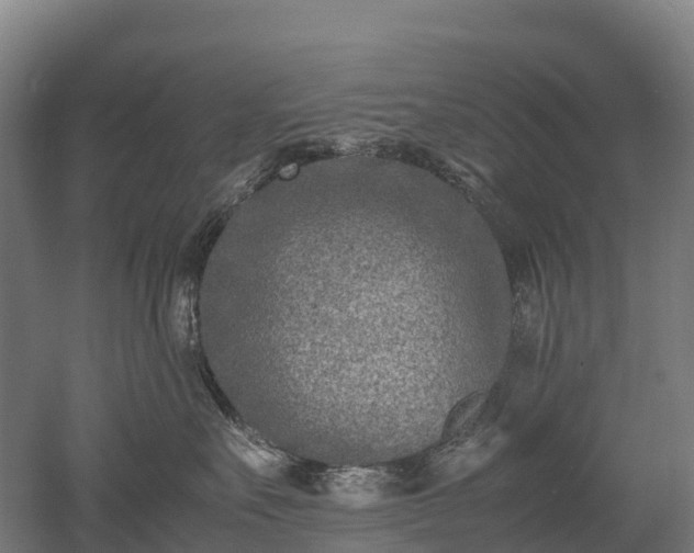 X0000052950527200507151712