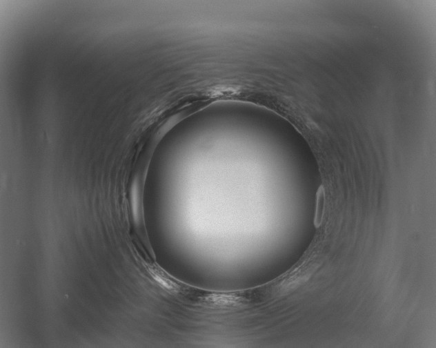 X0000052950528200507151712
