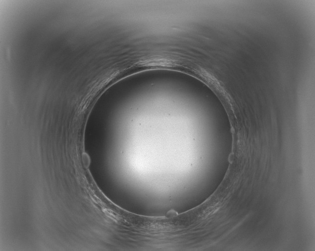 X0000052950529200507151712