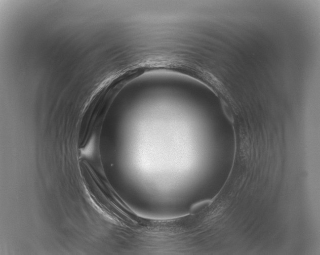 X0000052950530200507151712